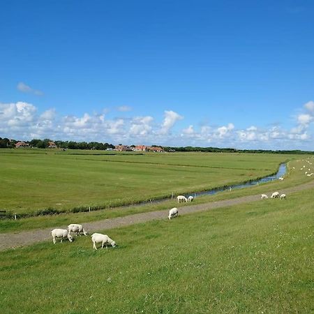 De Oostkamer; Eiland Appartement Naast Natuurgebied Boschplaat Oosterend  Εξωτερικό φωτογραφία