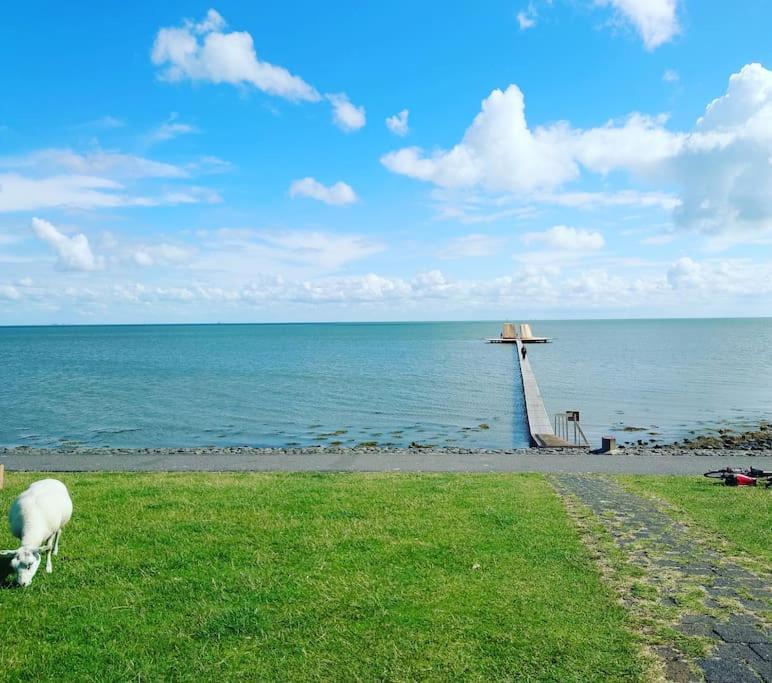 De Oostkamer; Eiland Appartement Naast Natuurgebied Boschplaat Oosterend  Εξωτερικό φωτογραφία